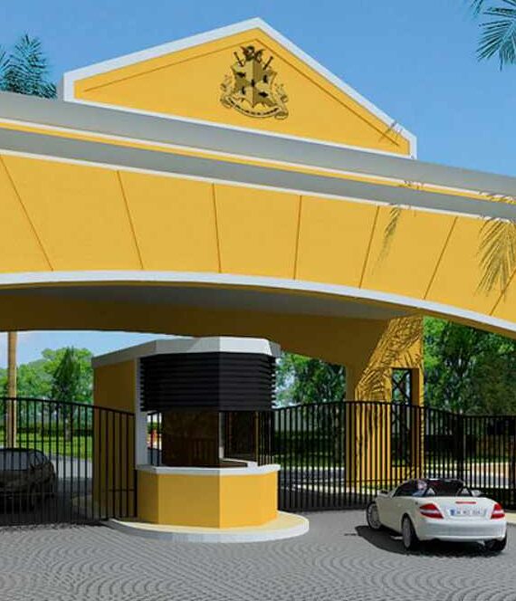 Untitled design (31)